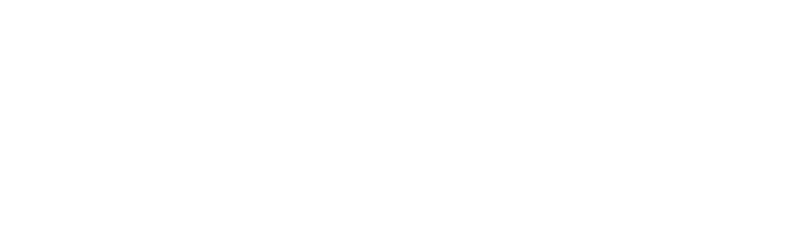 Logo SDN